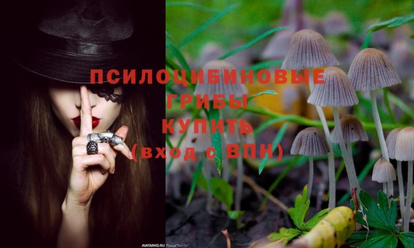 герыч Алексеевка