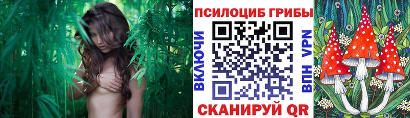 закладка  Салехард  Галлюциногенные грибы мухоморы 